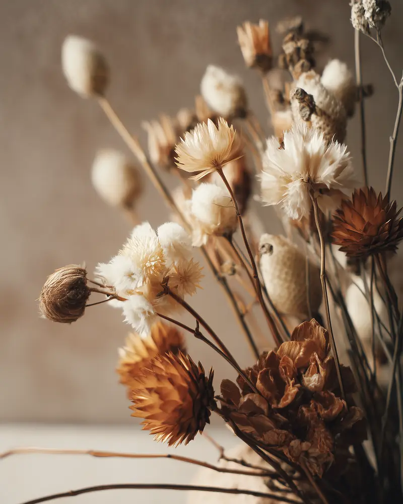Dried stems in white and golden brown